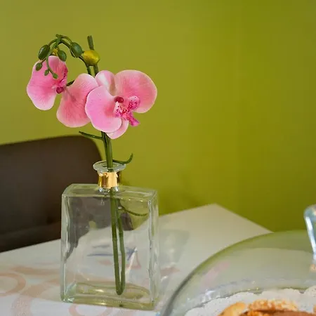 Apartamento Casa 